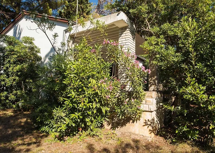 Dada By Interhome 로바니스카